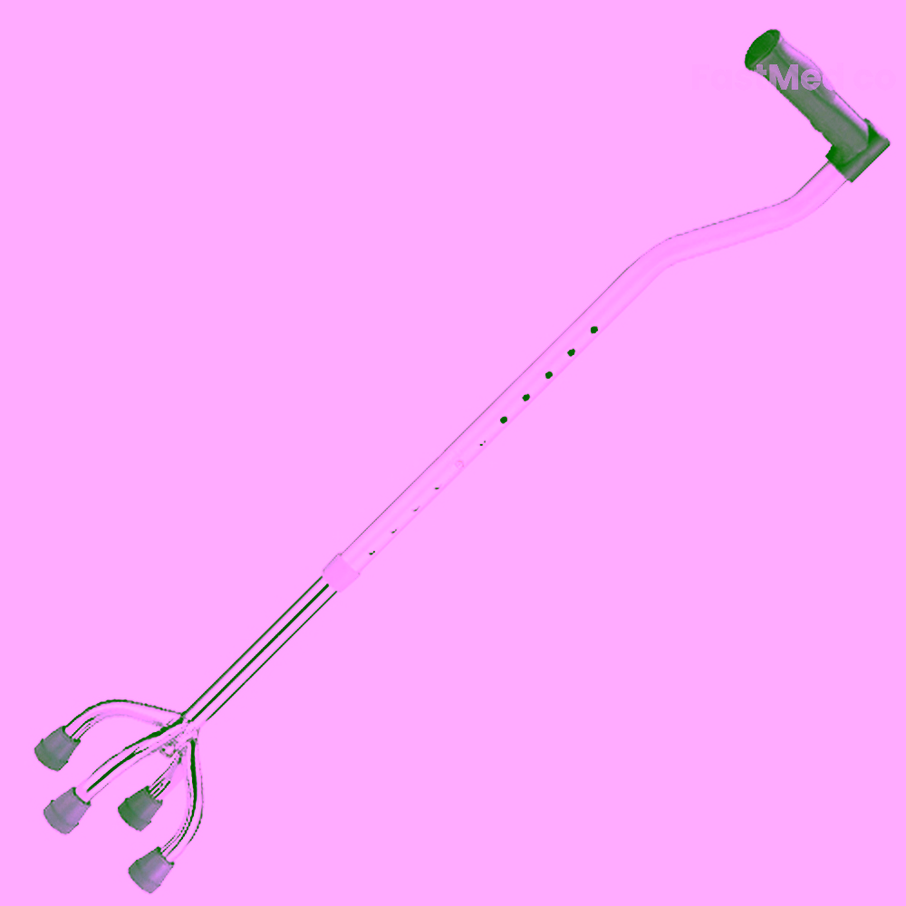 Walking Stick Four Leg
