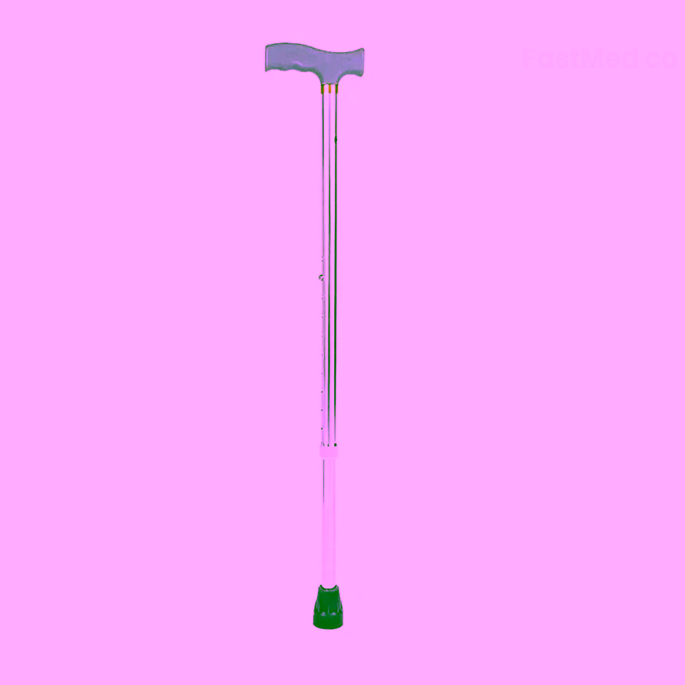 Walking Stick Single Leg